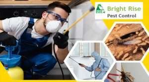 Featured Pest Control Abu Dhabi