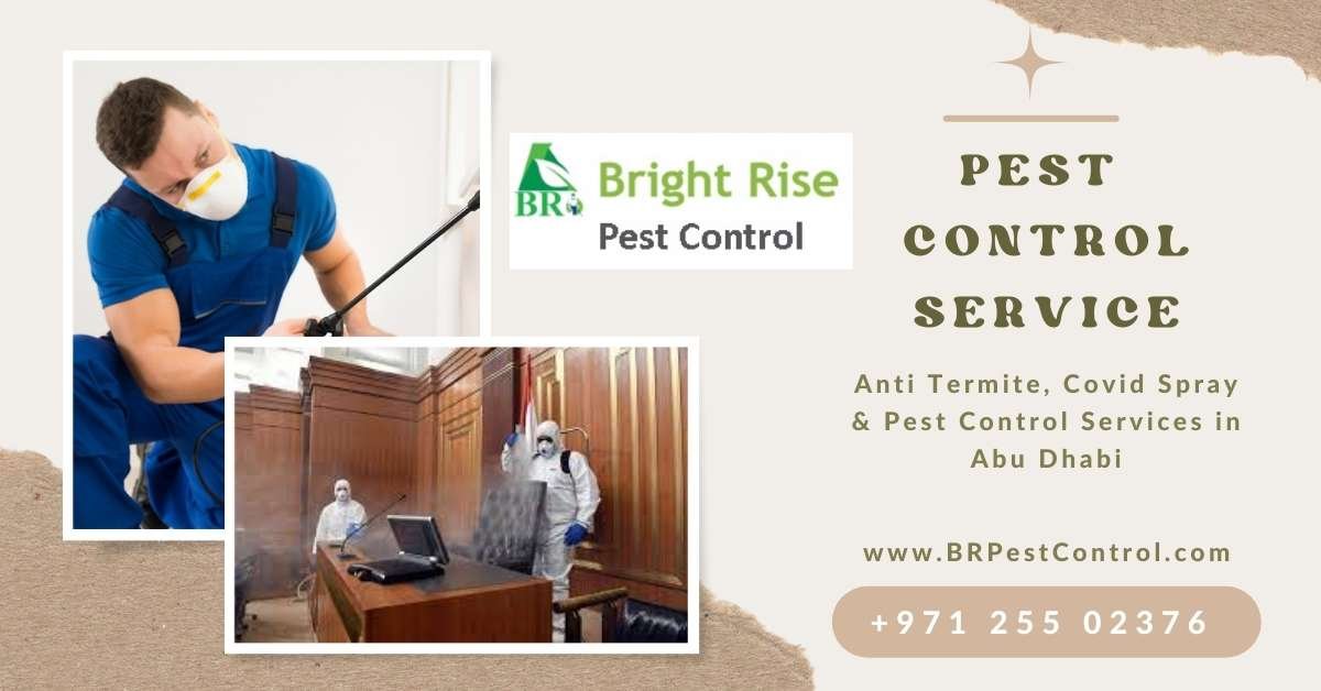 Best Pest Control Services in Abu Dhabi