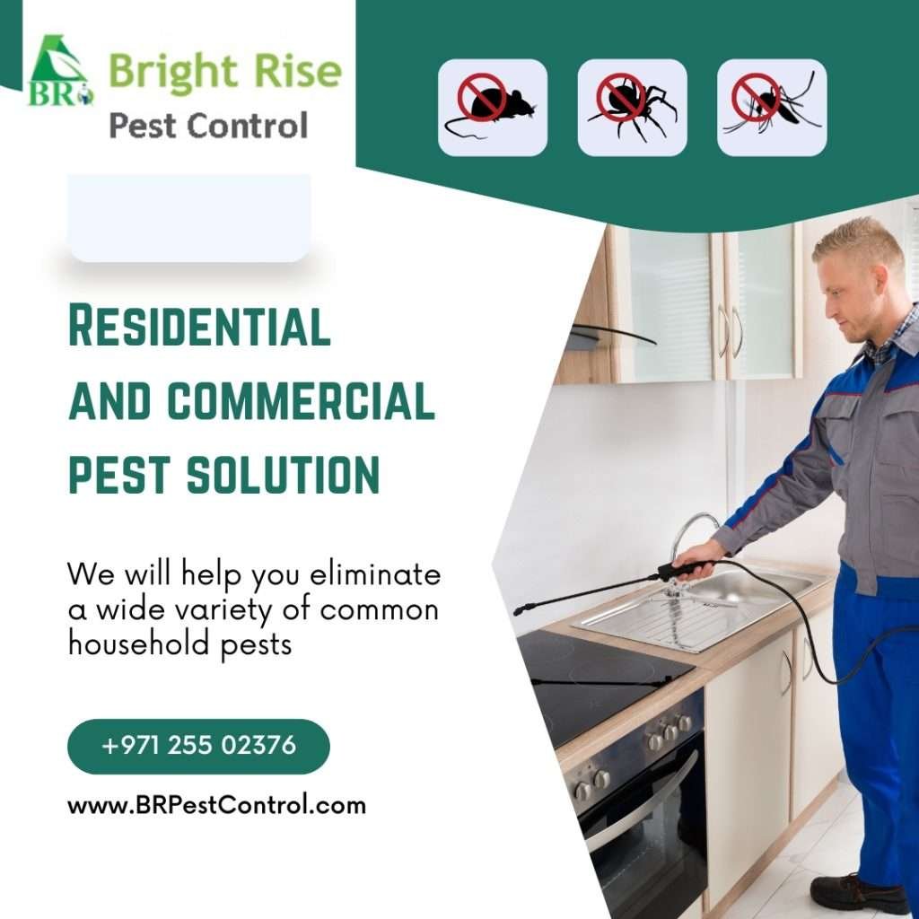 Residential and Commercial Pest Solution