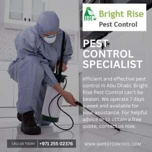 Pest Control Services