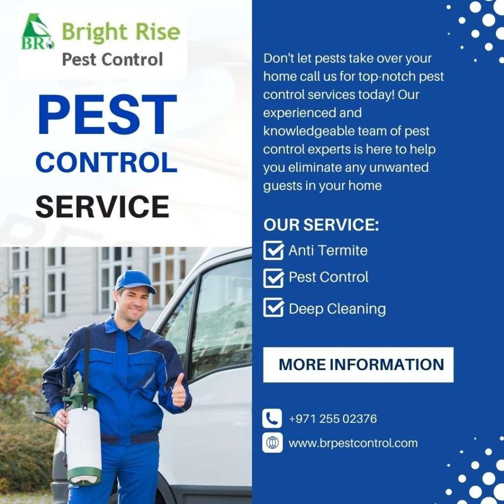 Pest Control Services Abu Dhabi