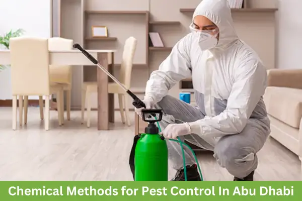 Chemical Methods for pest Control in Abu Dhabi