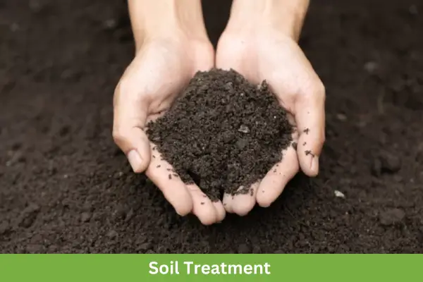 Soil Treatment