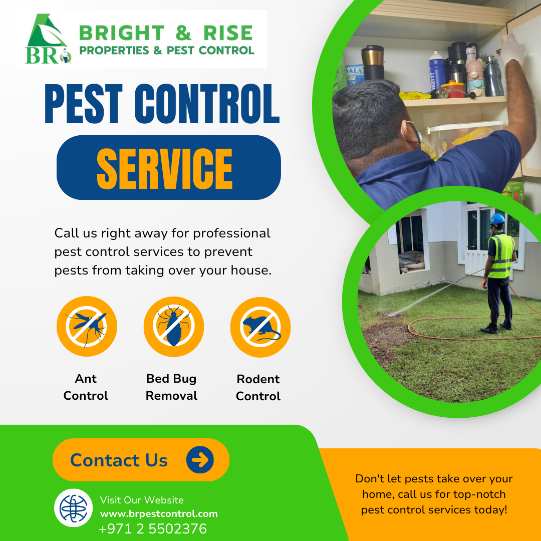 Best Pest Control in Musaffah [Top-Rated & Trusted]