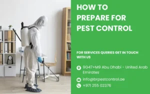 How to Prepare for Pest Control