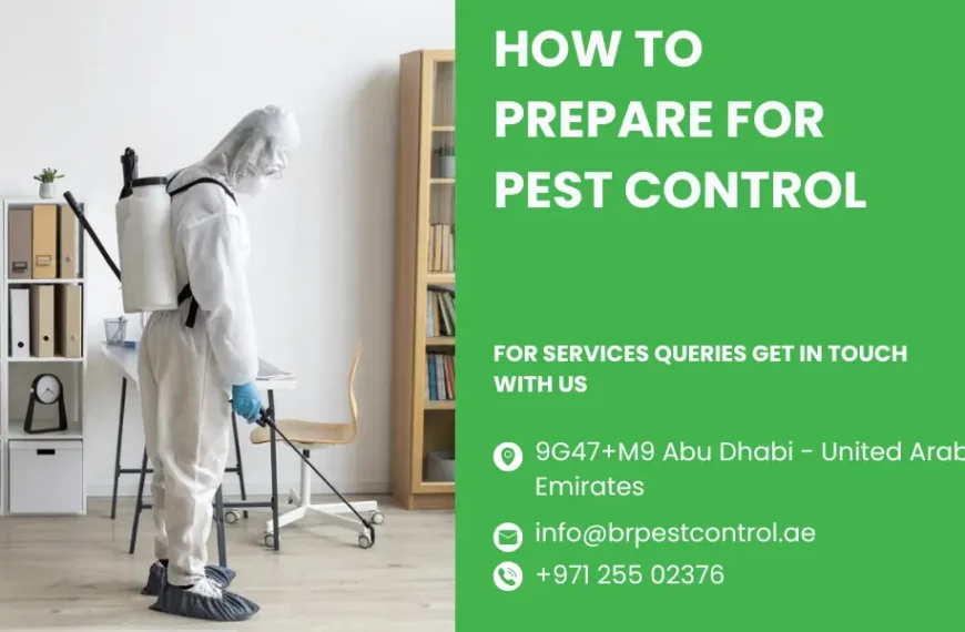 How to Prepare for Pest Control