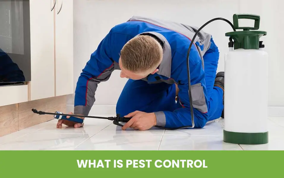 What is Pest Control