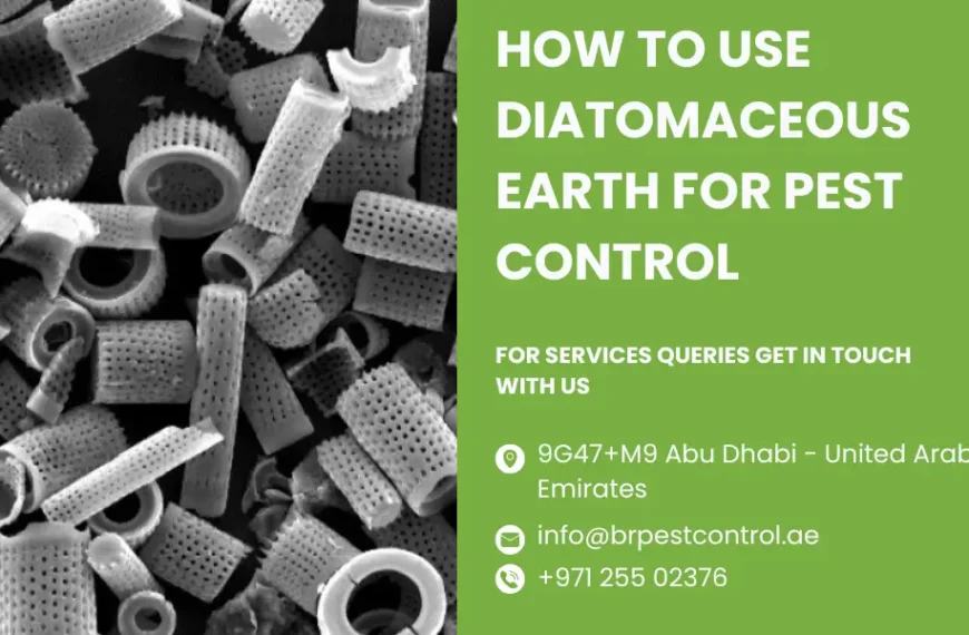 How to Use Diatomaceous Earth for Pest Control