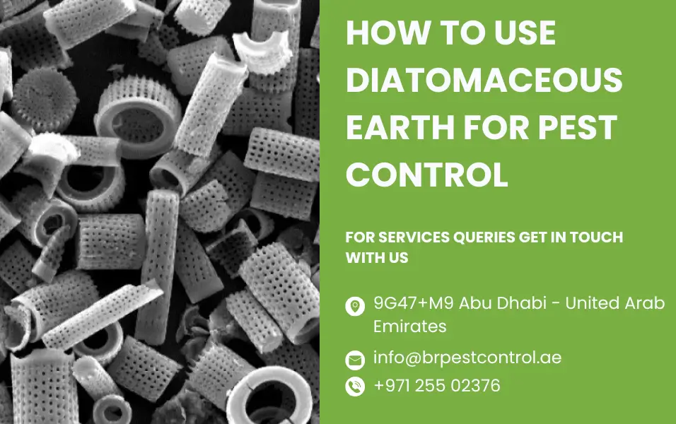 How to Use Diatomaceous Earth for Pest Control