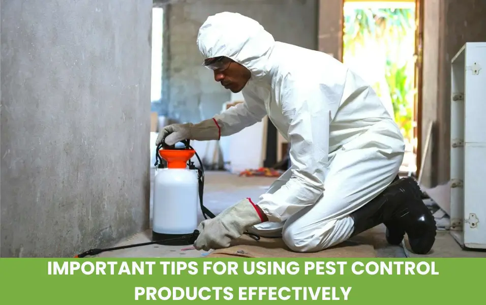 Important Tips for Using Pest Control Products Effectively