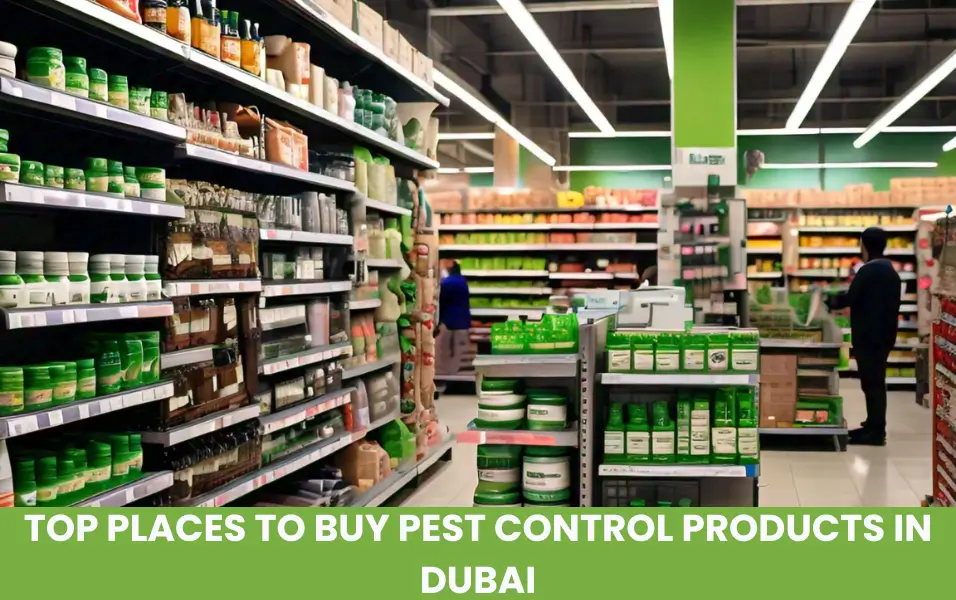 Top Places to Buy Pest Control Products in Dubai