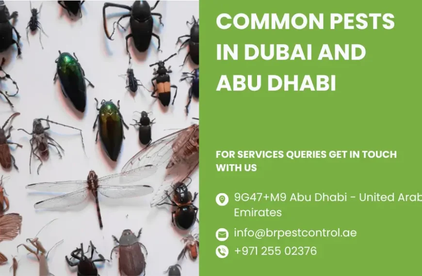 common pests in dubai and abu dhabi