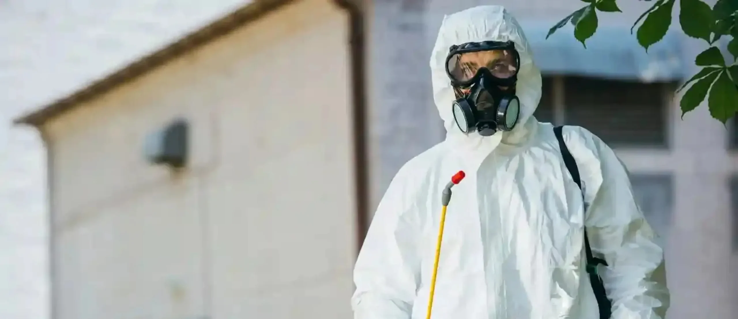 Best Pest Control Service in Abu Dhabi