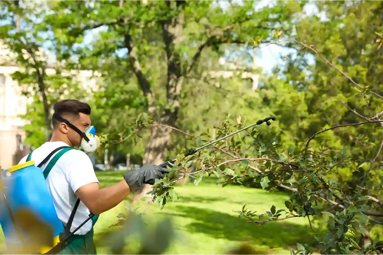 Pest Control Service in Golf Gardens