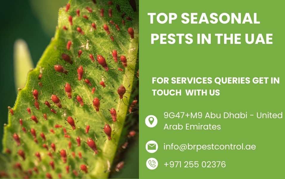 TOP SEASONAL PESTS IN THE UAE