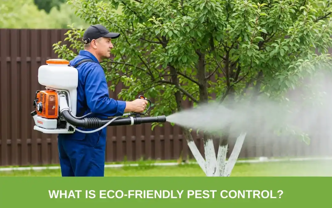 What is eco-friendly pest control