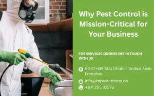 Why Pest Control is Mission-Critical for Your Business