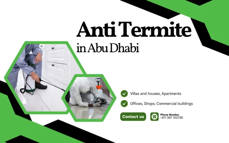 Anti Termite in Abu Dhabi: Complete Guide to Termite Protection